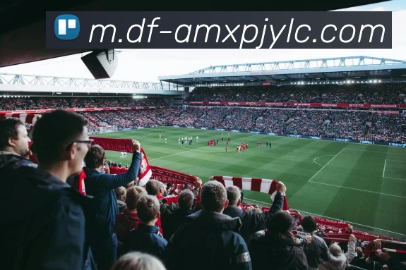 澳门新葡京娱乐平台生态图