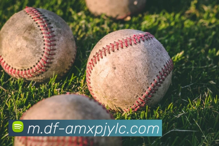 澳门新葡京娱乐APP 封面图